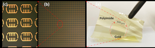 (a) Demonstration of the flexible Terahertz metasurface biosensor. (b-c) fabricated metasurface biosensor under an optical microscope